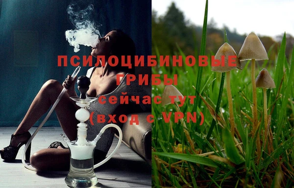амф Алексеевка