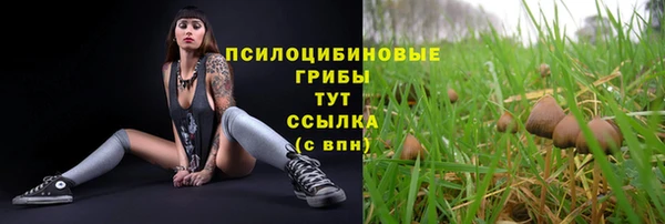 соль ск Алзамай