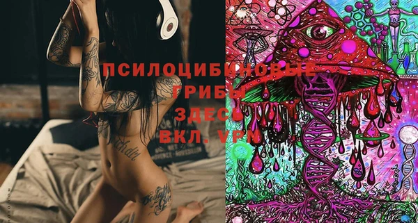 твердый Алексин
