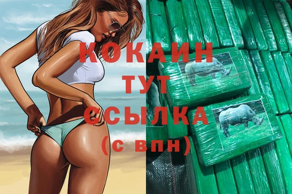 соль ск Алзамай