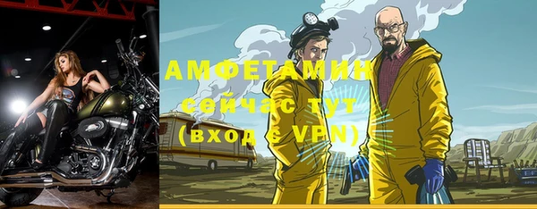 твердый Алексин
