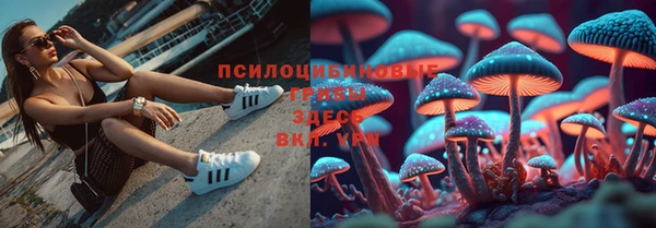 амф Алексеевка