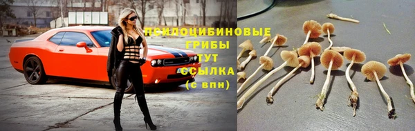 твердый Алексин