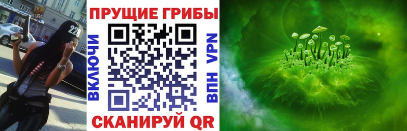 Псилоцибиновые грибы мицелий  Олонец 